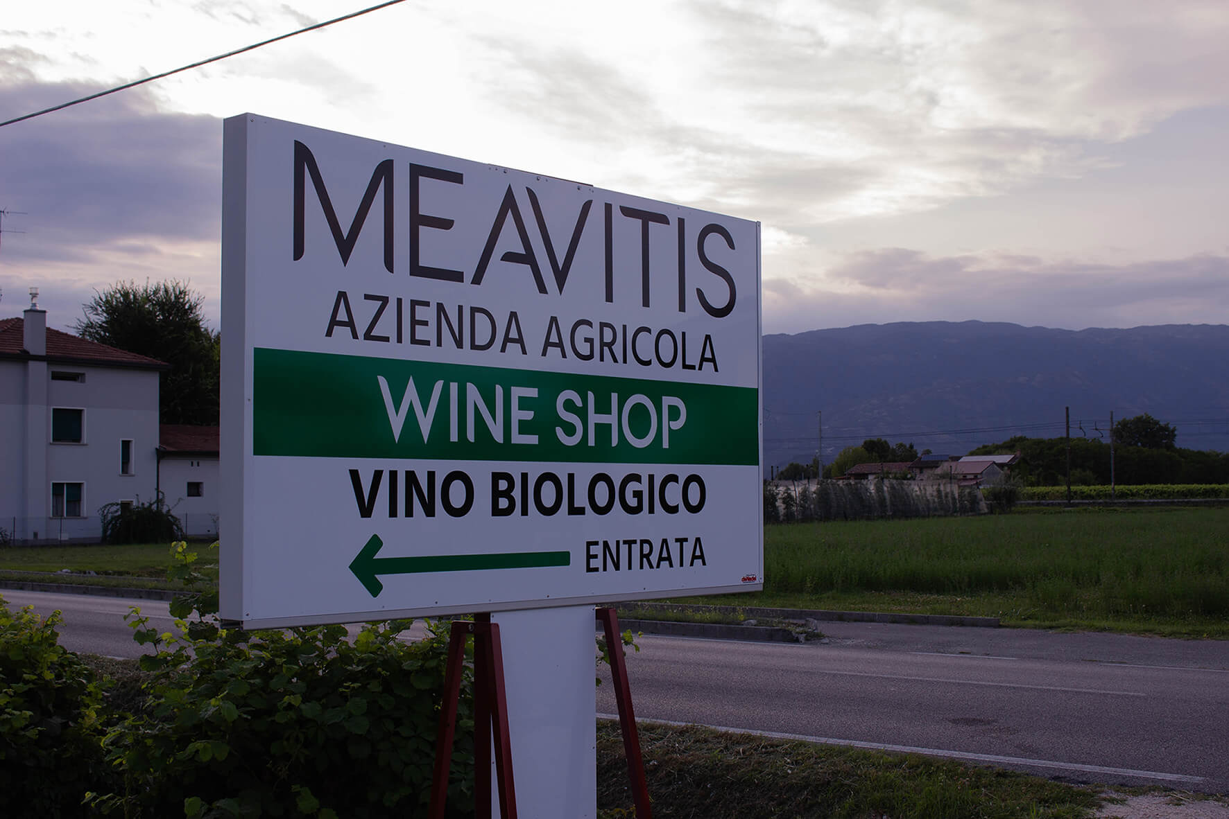 vigneto biologico situato a Sacile di Pordenone (Friuli)
