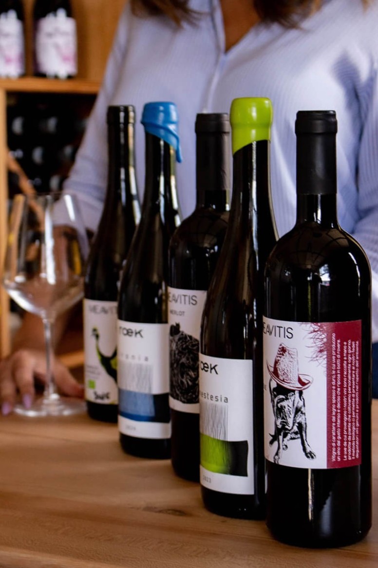 bottiglie di vino biologico da degustare nel punto vendita a Sacile (PN)